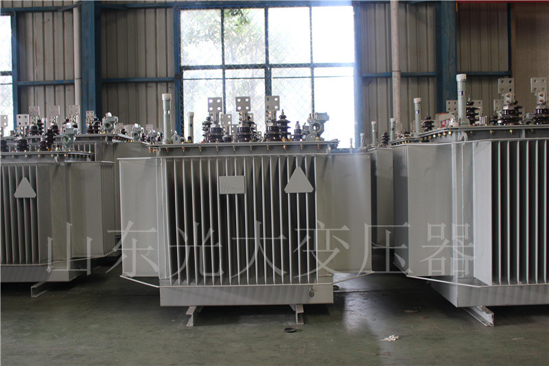 新余S20-500KVA/10KV油浸式变压器